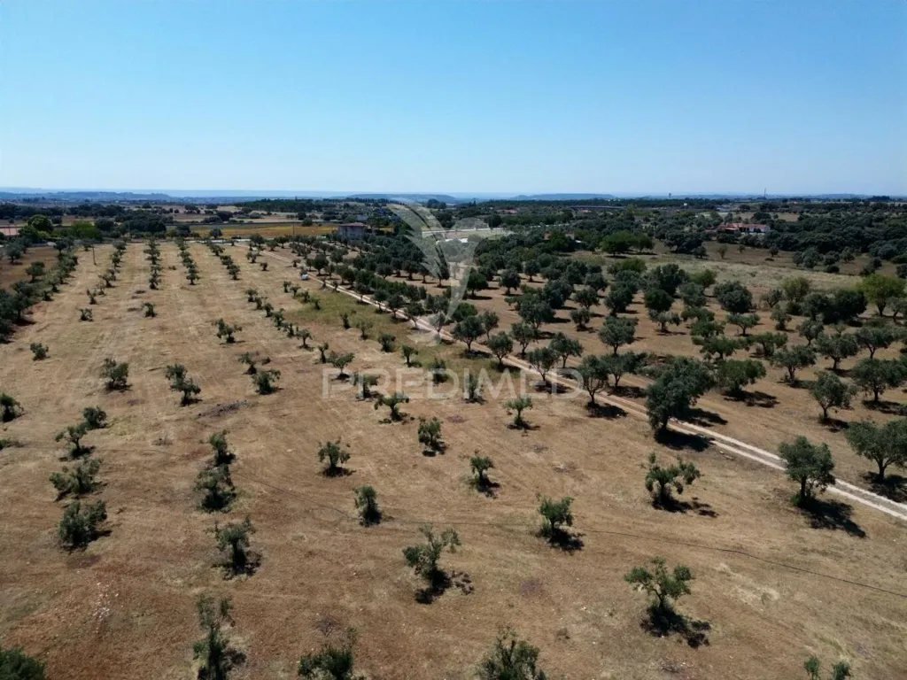 Vue aérienne - Rural Quinta with Olive Grove in Vaqueiros