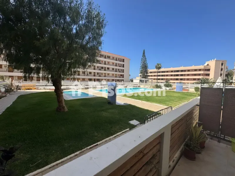 Bassein - T2 Apartment with Pool in Los Cristianos