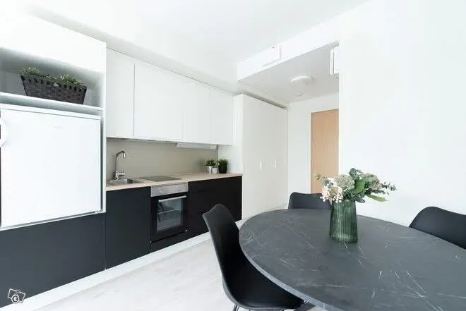 Cuisine - Modernised Studio Flat with Balcony in Jyväskylä