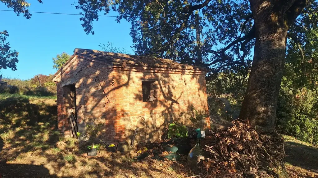 facade