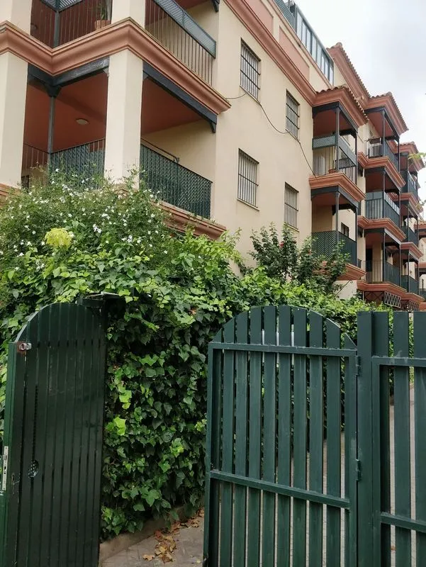 Extérieur - Apartment with Pool and Terrace in La Laguna