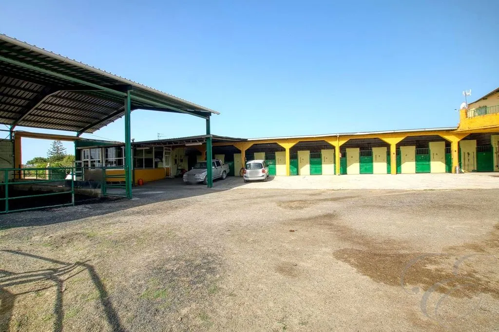 Aed - Equestrian Centre with Coastal Proximity in Torre del Mar