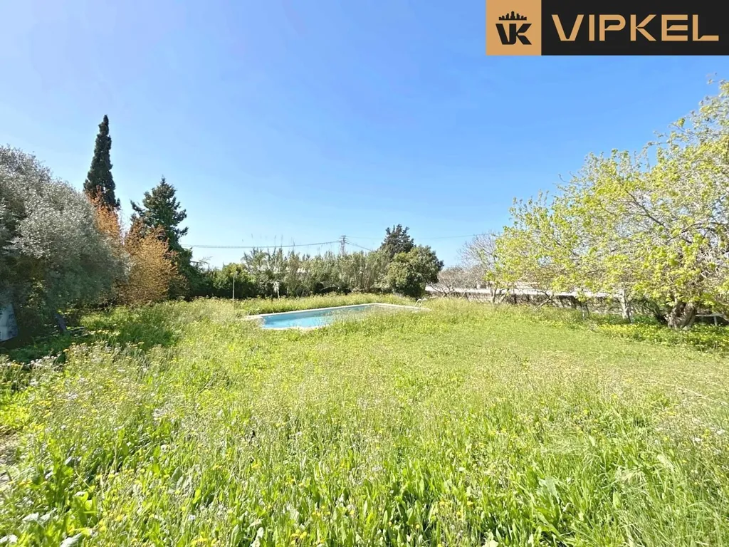 Jardin - Chalet with Pool in Roche, Conil de la Frontera