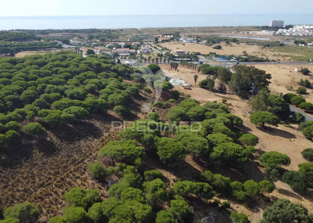 Vista aerea - Mixed Use Land with Sea View in Altura