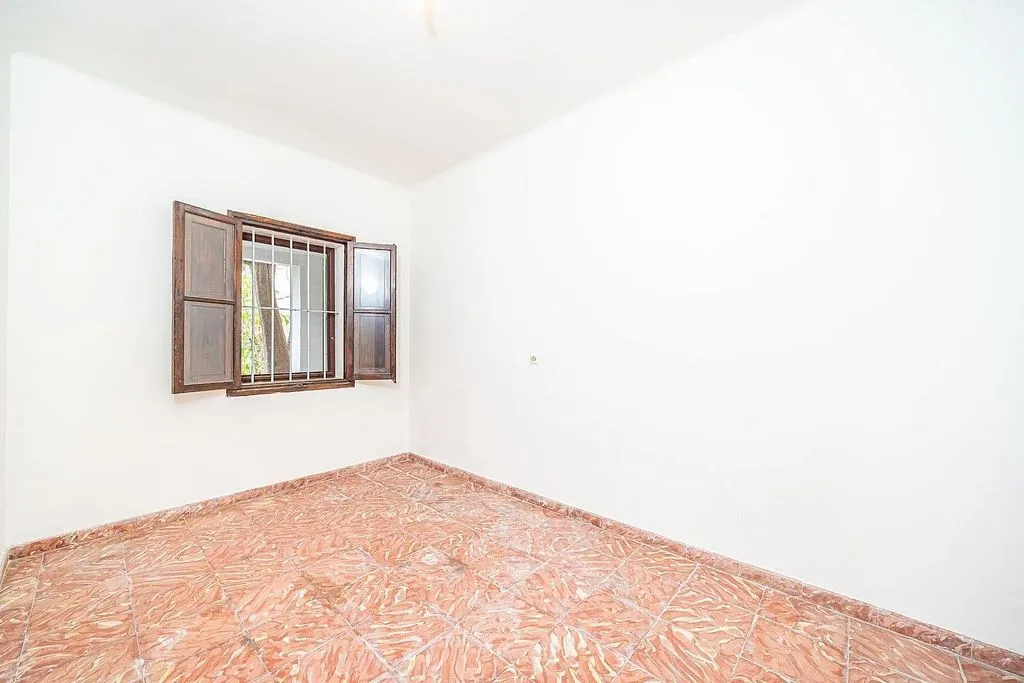 Toad - Ground Floor Flat with Terrace in Ciudad Jardín