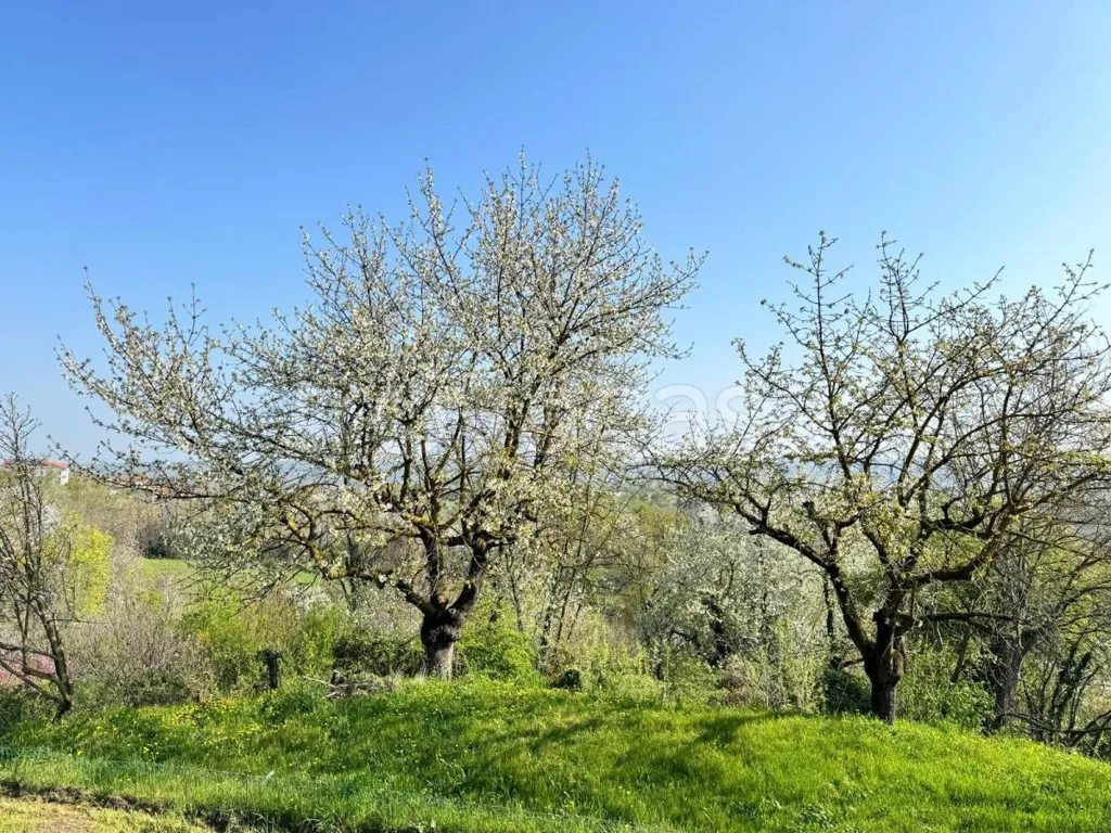 Giardino - Rustic Villa with Private Garden in Montà