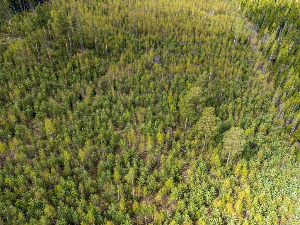 Vue aérienne - Forest Farm with Timber Rights in Östra Jämtland