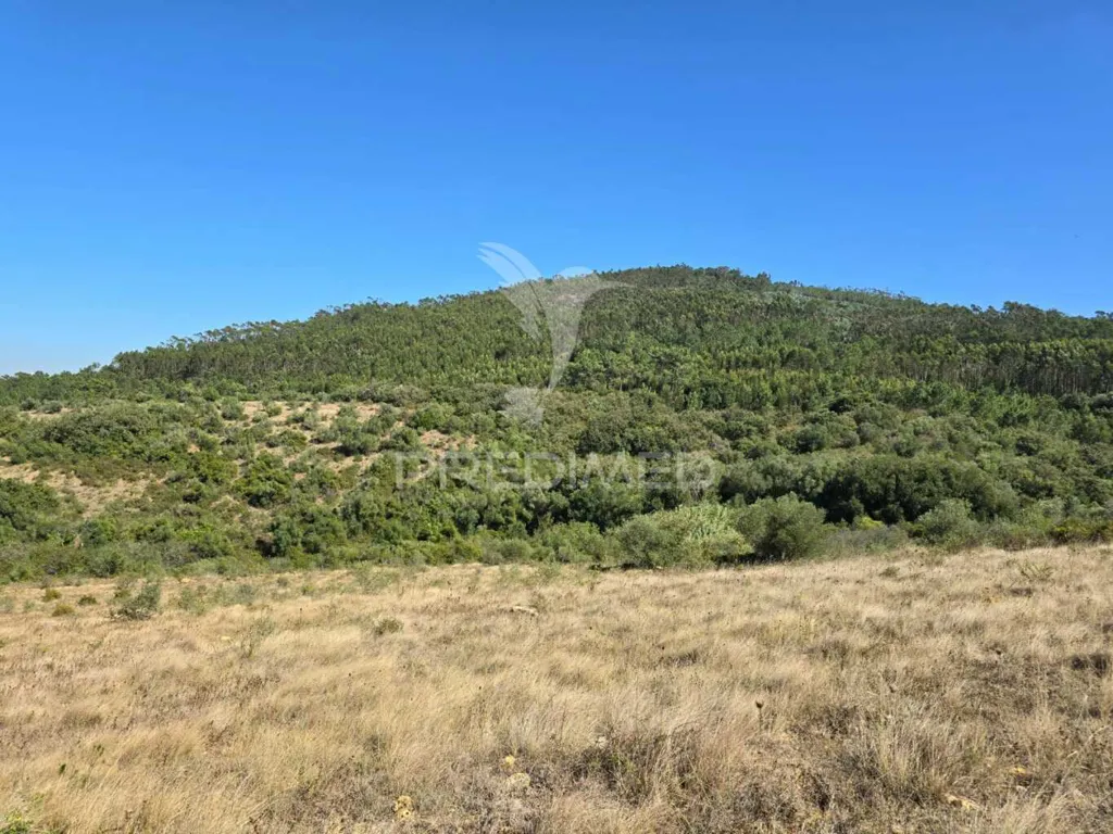Jardin - Rustic Land with Approved Project in Mafra