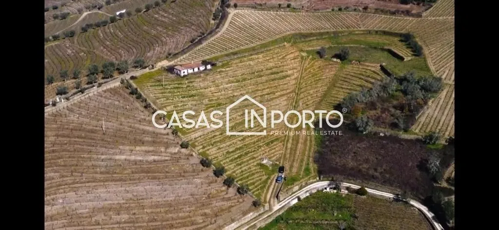 Õhuvaade - Luxury Farmhouse with Vineyard in Peso da Régua
