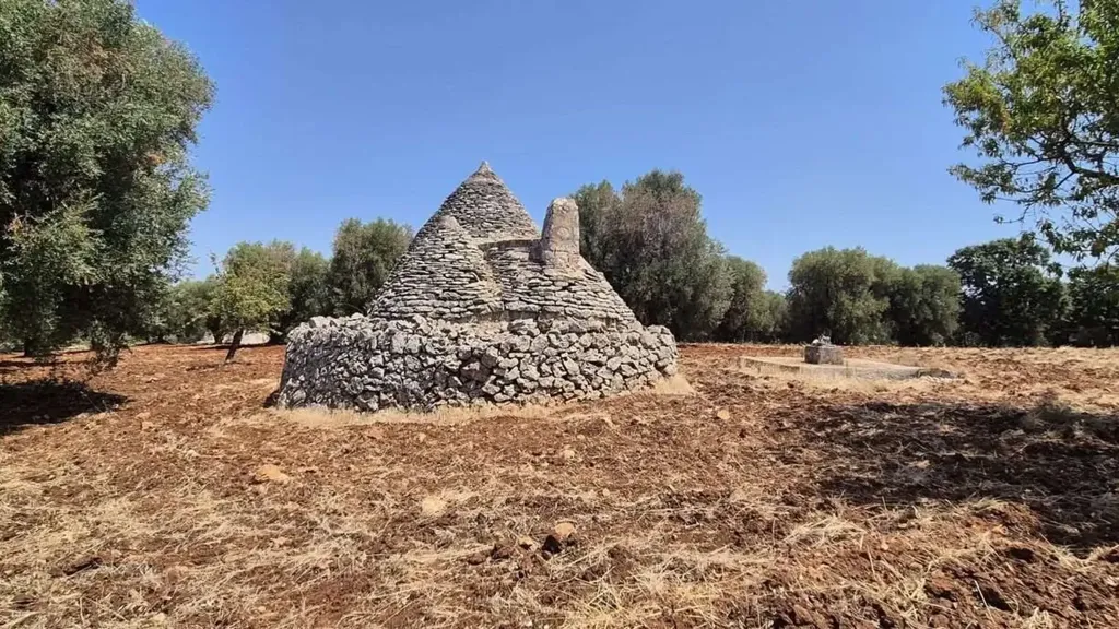 5-room house in IT