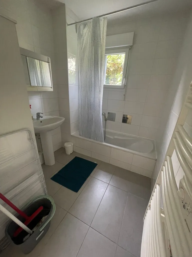Bagni - Meubled Flat with Terrace in Morschwiller le Bas
