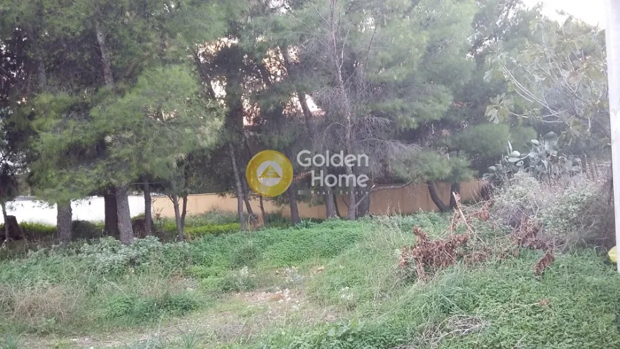 Jardin - Plot for Development with Garden in Ampelakia