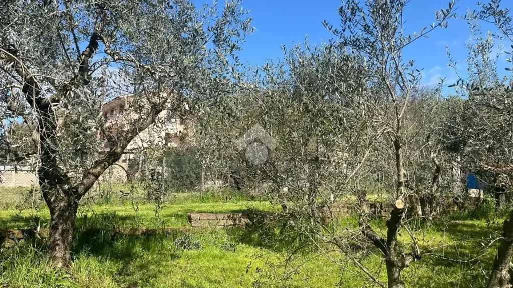 Giardino - Rustic Property with Private Garden in Gallicano Nel Lazio