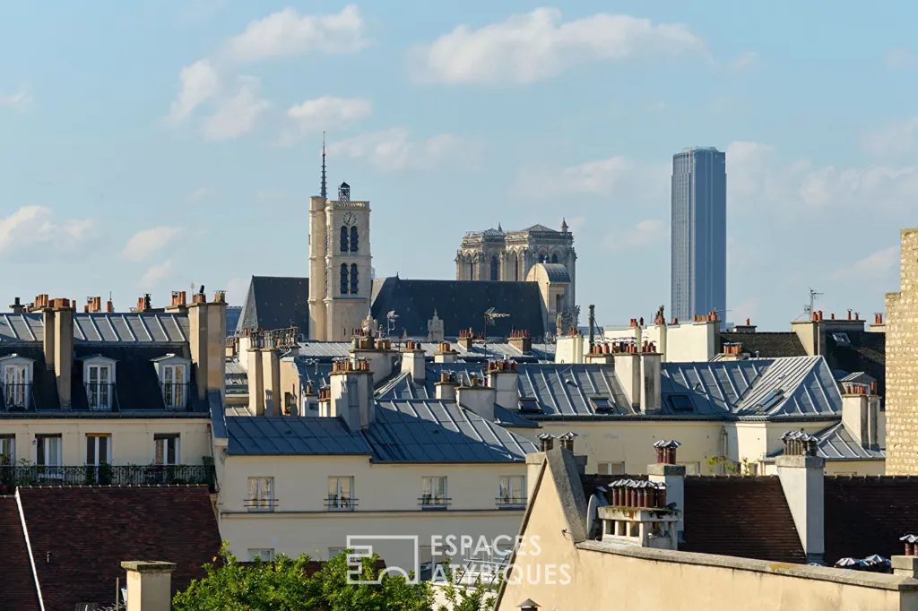 Terrass - Duplex with Panoramic View on Picasso Museum, Paris