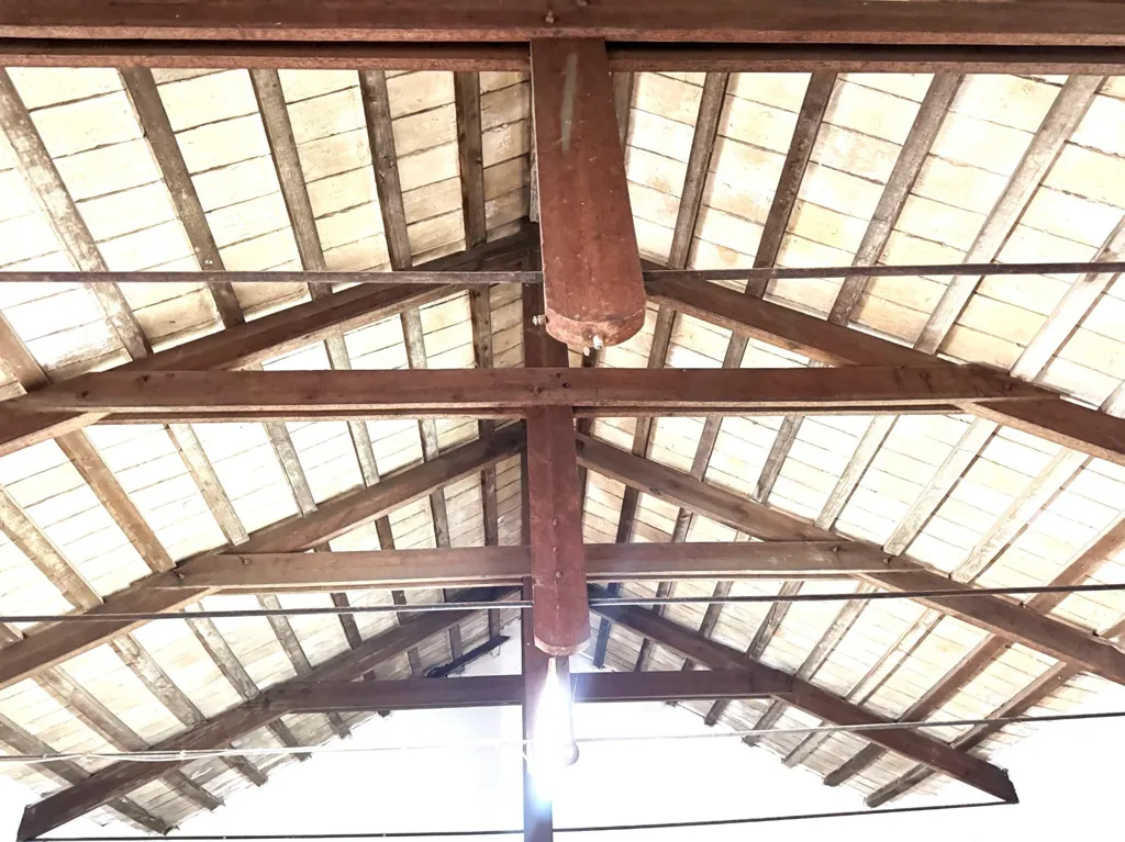 Toad - Historic House with Potential in Puente Genil
