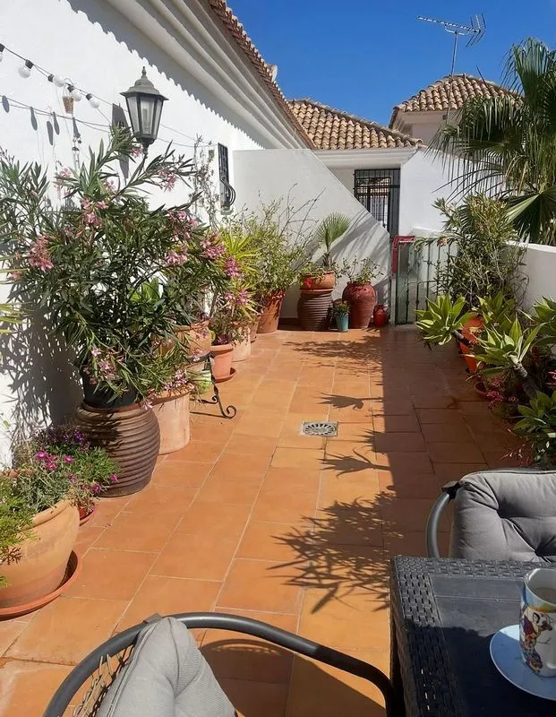 terrace_patio