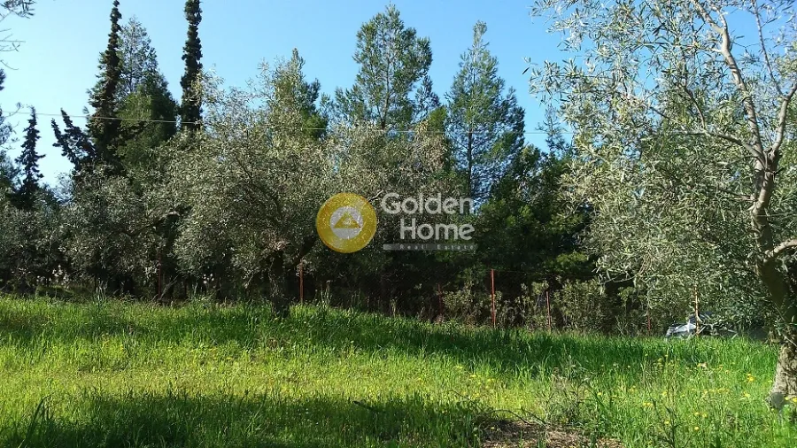 Aed - Plot with Panoramic View in Nauplia