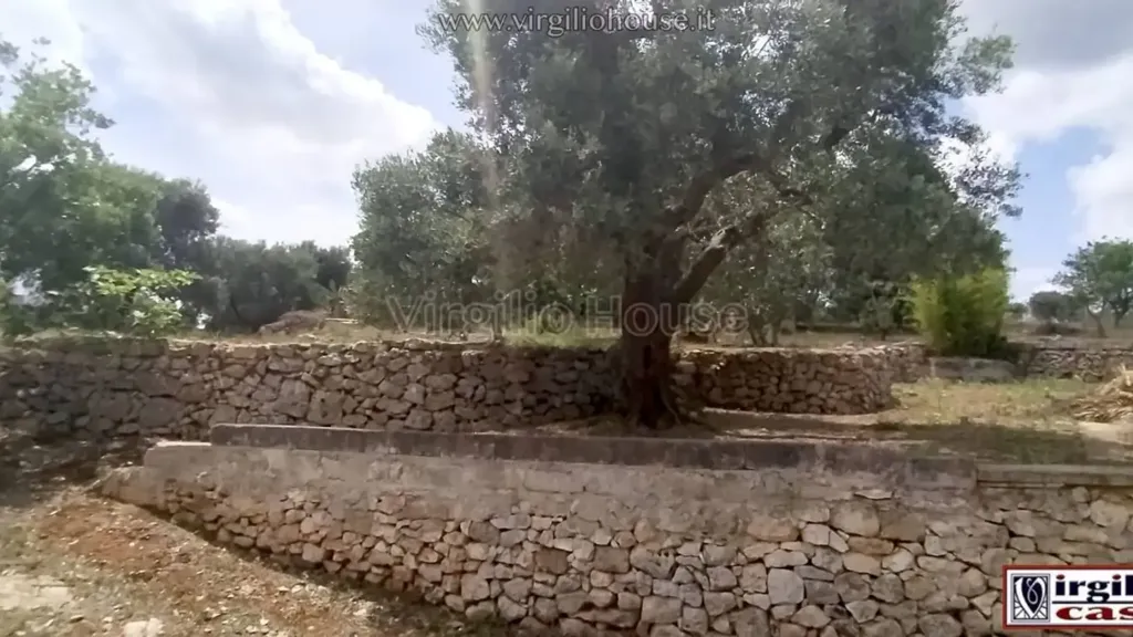 Garden - Typical Trulli House in Ostuni