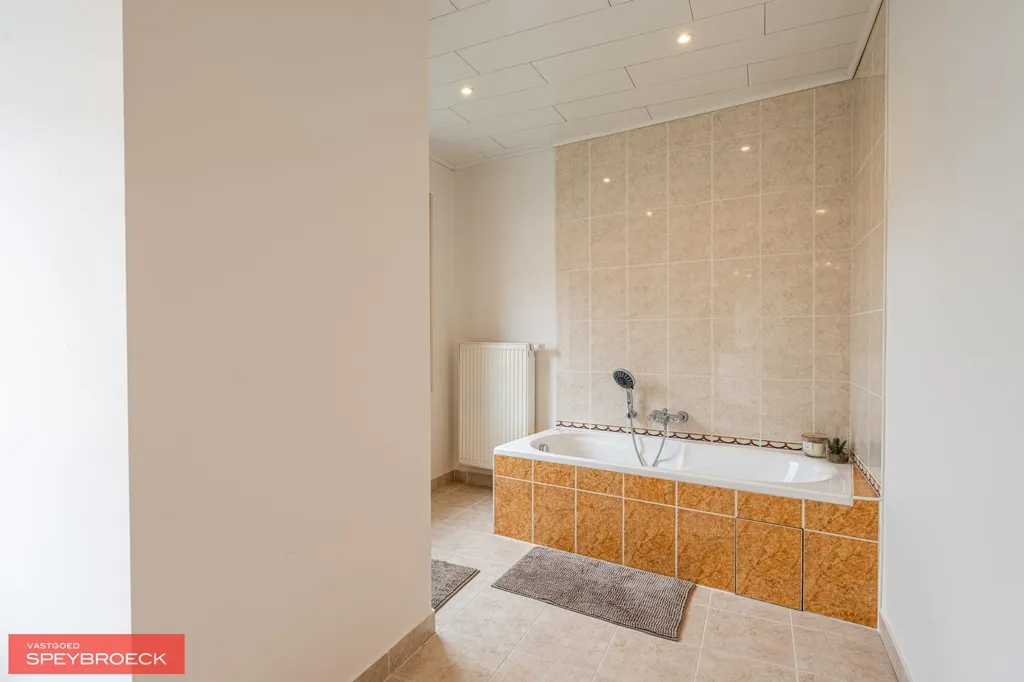 Vannitoad - Charming Townhouse with Garden in Gent