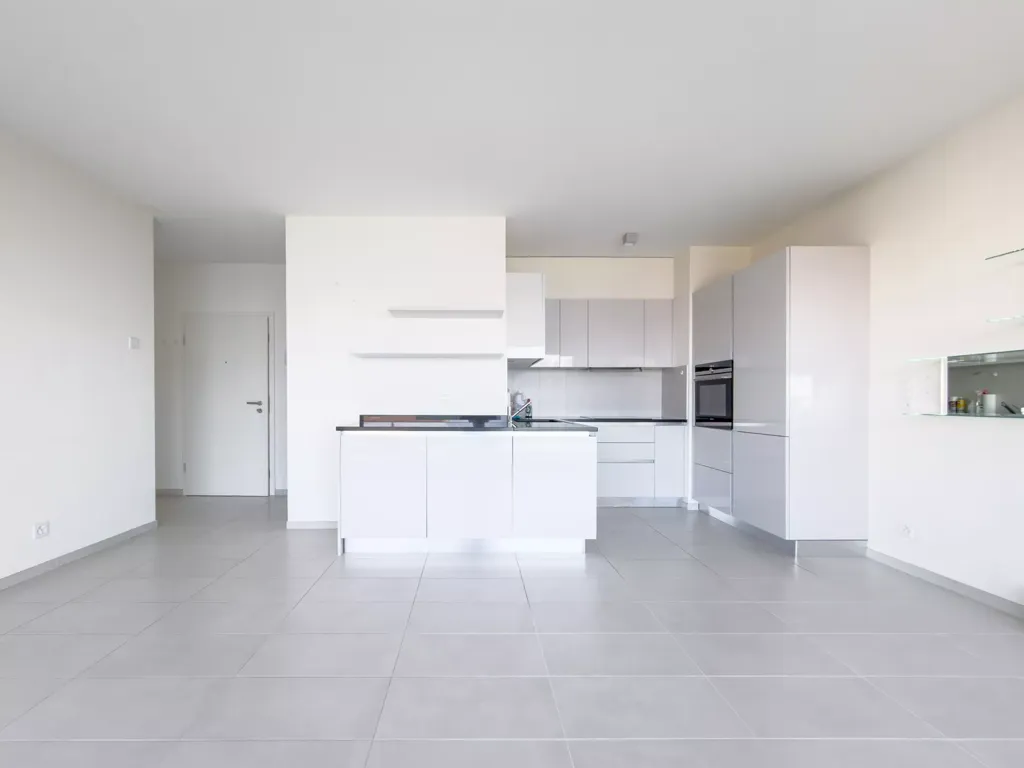 Cuisine - 3.5-Piece Lakefront Apartment in Riviera Vaudoise