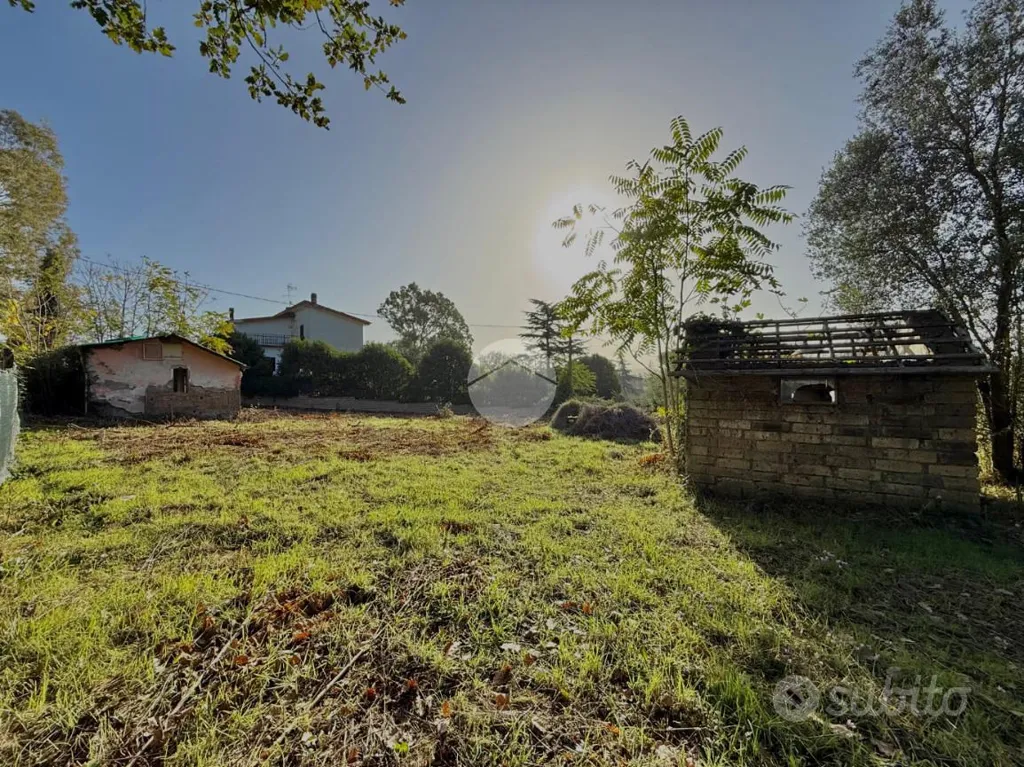 Garden - Rustico with Demolition Potential in Nepi