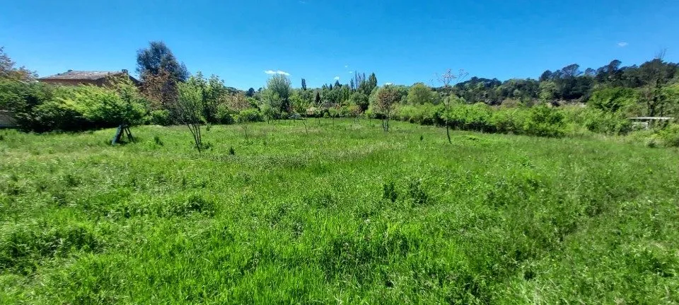 Jardin - Terrain à Bâtir avec Vue sur Jardin à Tourves