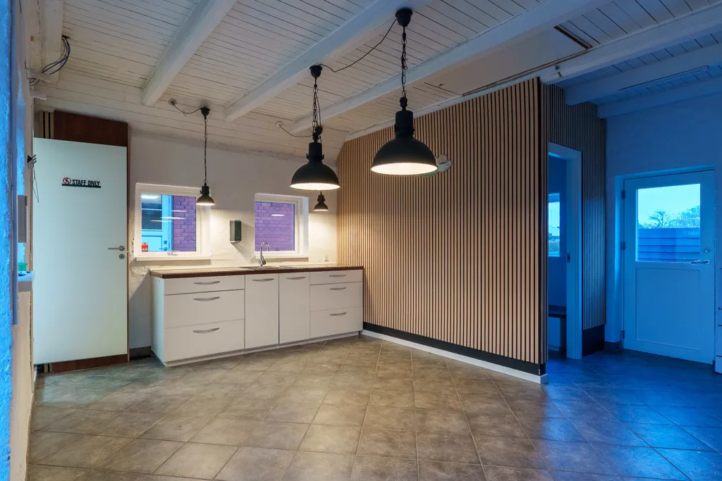 Esik - 1950s Villa with Garden in Fredericia