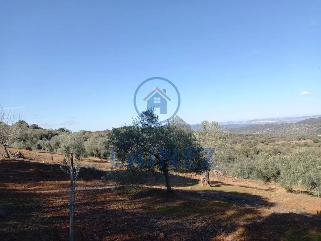 Jardin - Country House with Mountain Views in Villanueva del Rey