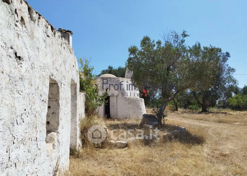Välivaade - Trullo Complex with Olive Grove in San Michele Salentino