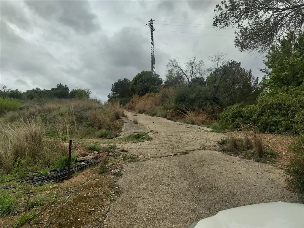Jardin - Rustic Land with Vineyard in La Llosa de Ranes