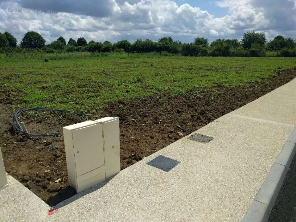 Jardin - Terrain à Construire avec Jardin à Saint-Fargeau-Ponthierry
