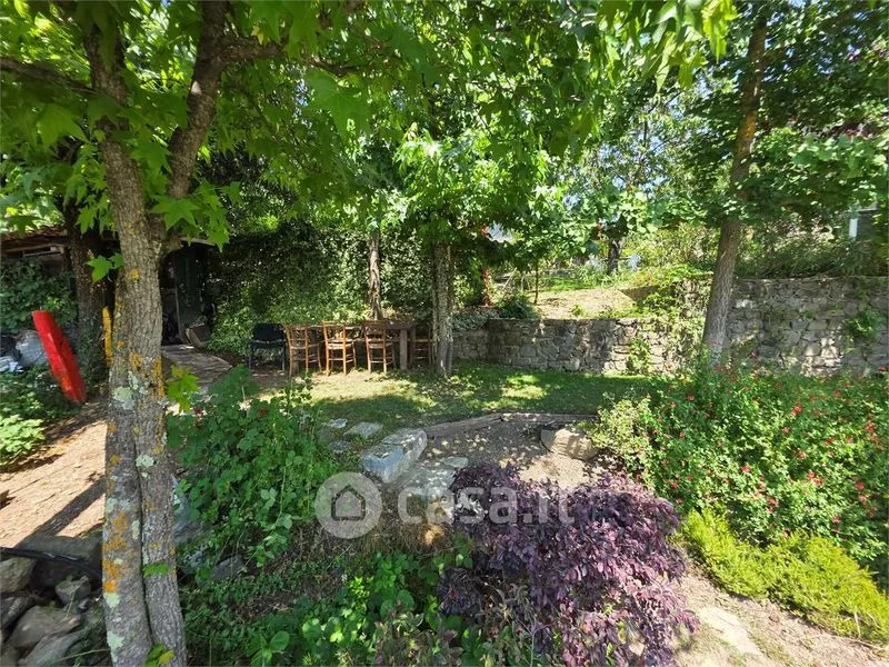 Jardin - Restored Rustico with Garden in Camporgiano