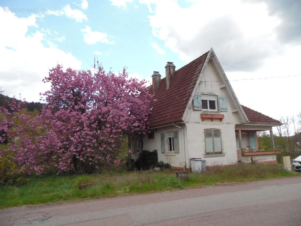 6-toaline maja asukohas Moussey