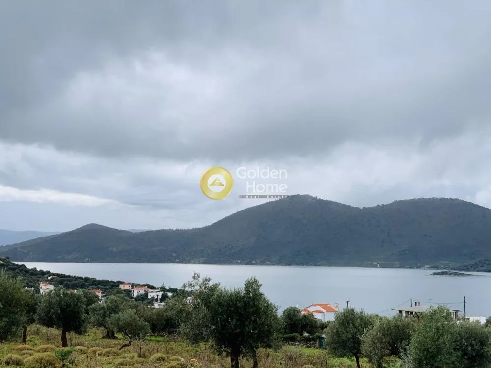 Aed - Panoramic Plot with Olive Trees in Almyropotamos