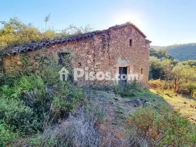 Välivaade - Rustic House with Olive Grove in La Nava