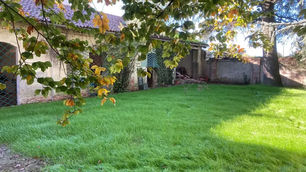 garden