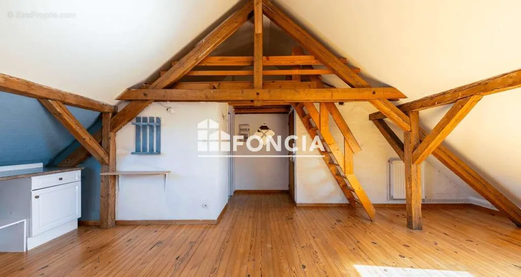 Pièces - Studio Traversant avec Mezzanine à Strasbourg