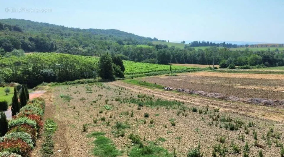 Giardino - Buildable Plot with South View near Carcassonne