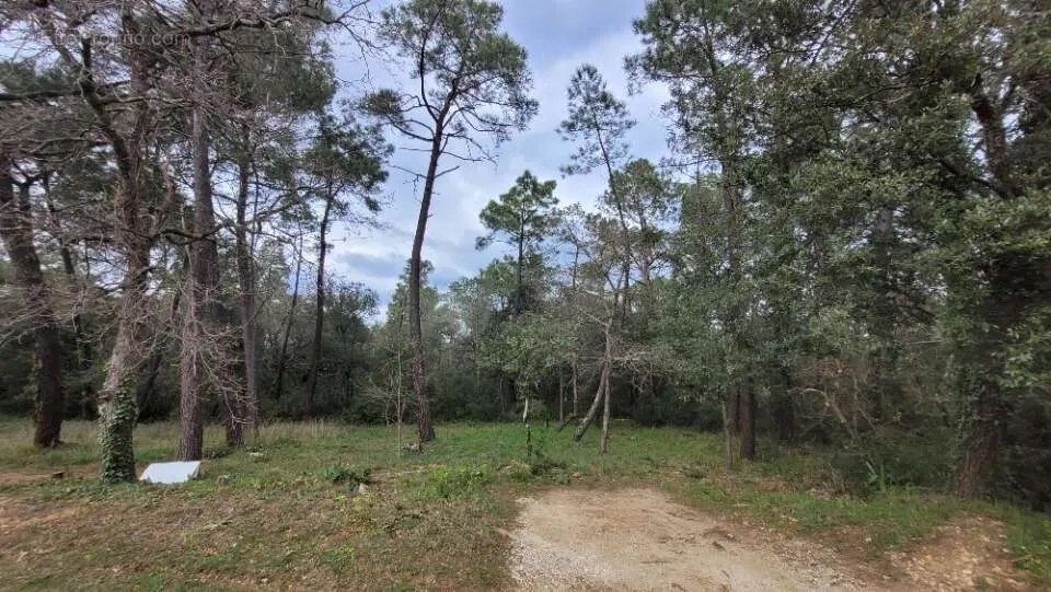 Aed - Wooded Plot with Garden in Suze-La-Rousse