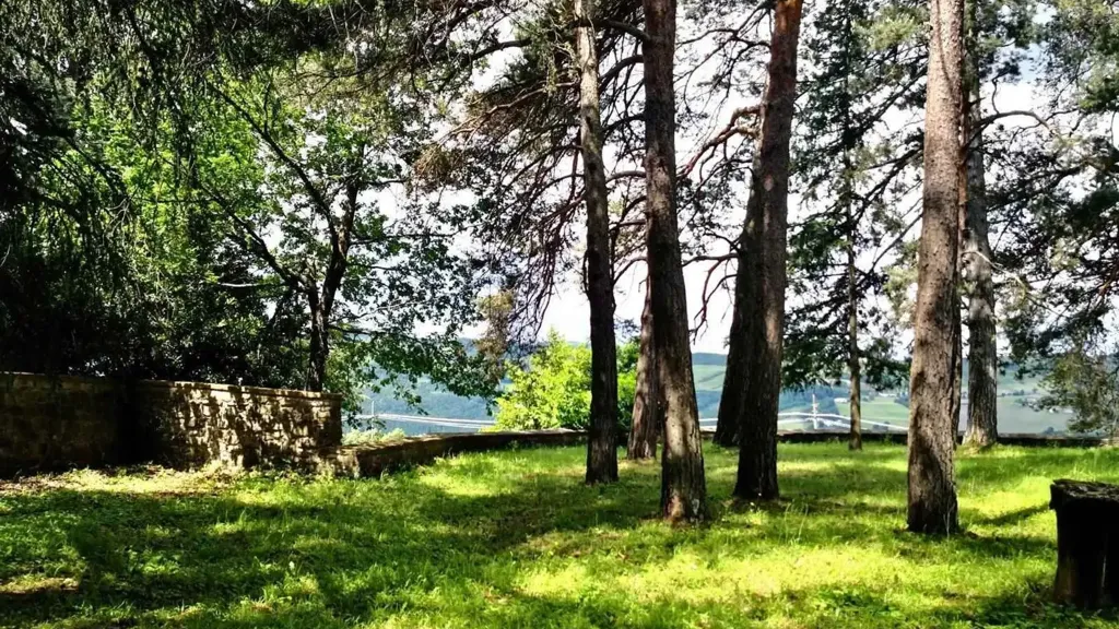garden