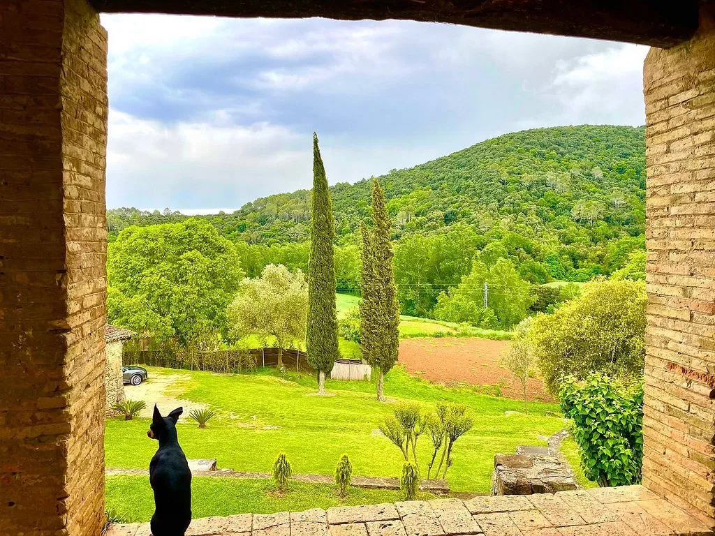 Jardin - Rustic Chalet with Pool in Canet d'Adri