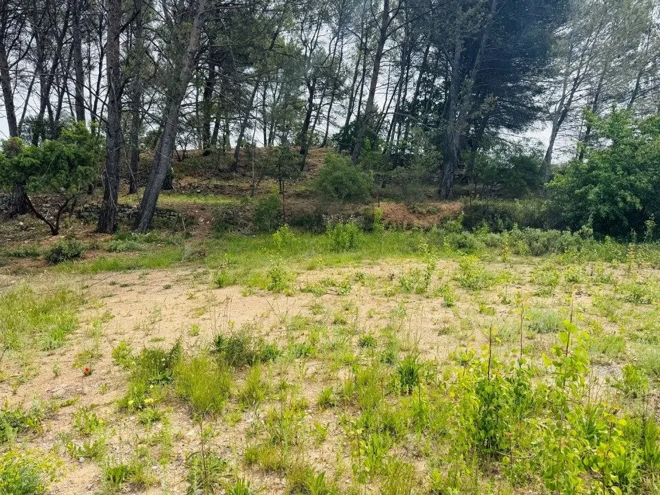 Aed - New Build House with Garden in Peynier
