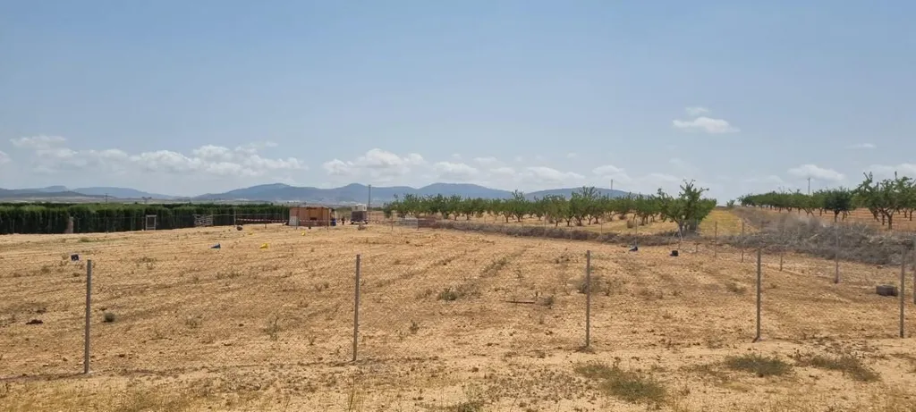 Jardin - Building Plot with Vineyard Views near Yecla