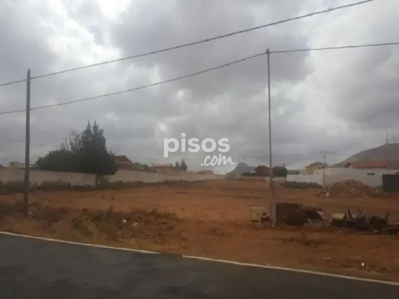 Aed - Rustic Farm Plot in Los Estancos, Fuerteventura