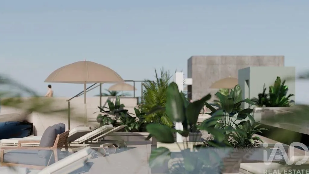 terrace_patio