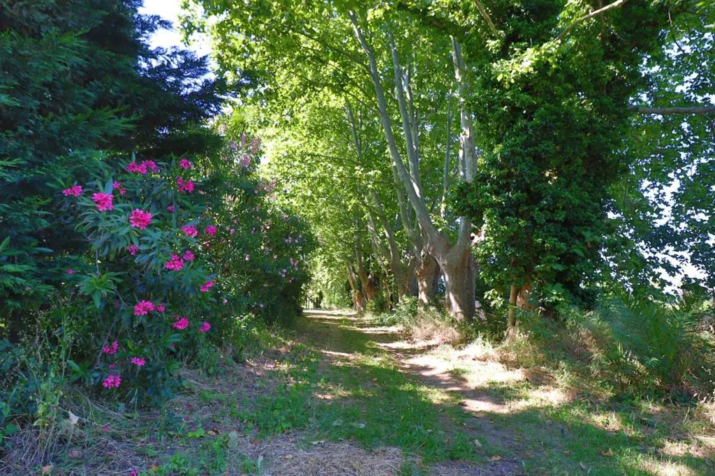 Jardin - Manoir avec Parc de 5 Hectares près de Perpignan