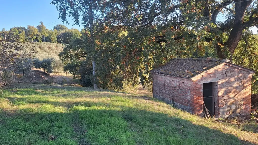 land_plot