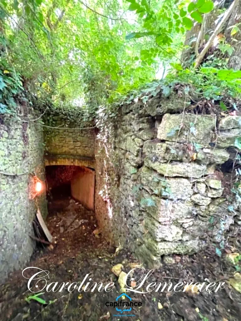 Garden - Farmhouse with Caves near Connerre