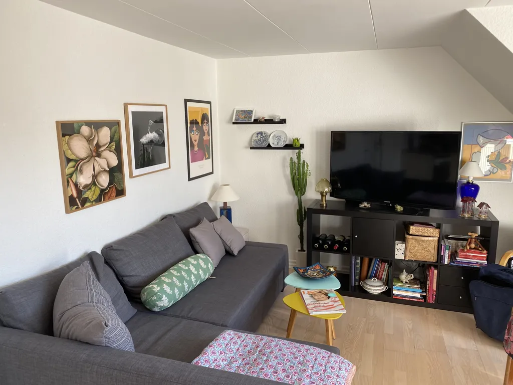 Séjour - Renovated 2-Bedroom Apartment in Aalborg