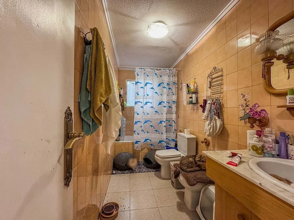 Salles de bain - Apartment with Ascender in El Pla de Sant Josep
